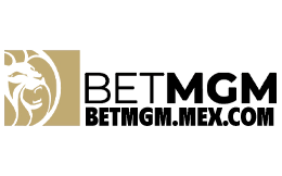 betmgmpa.net